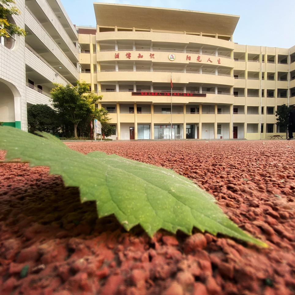 泰山区博阳学校