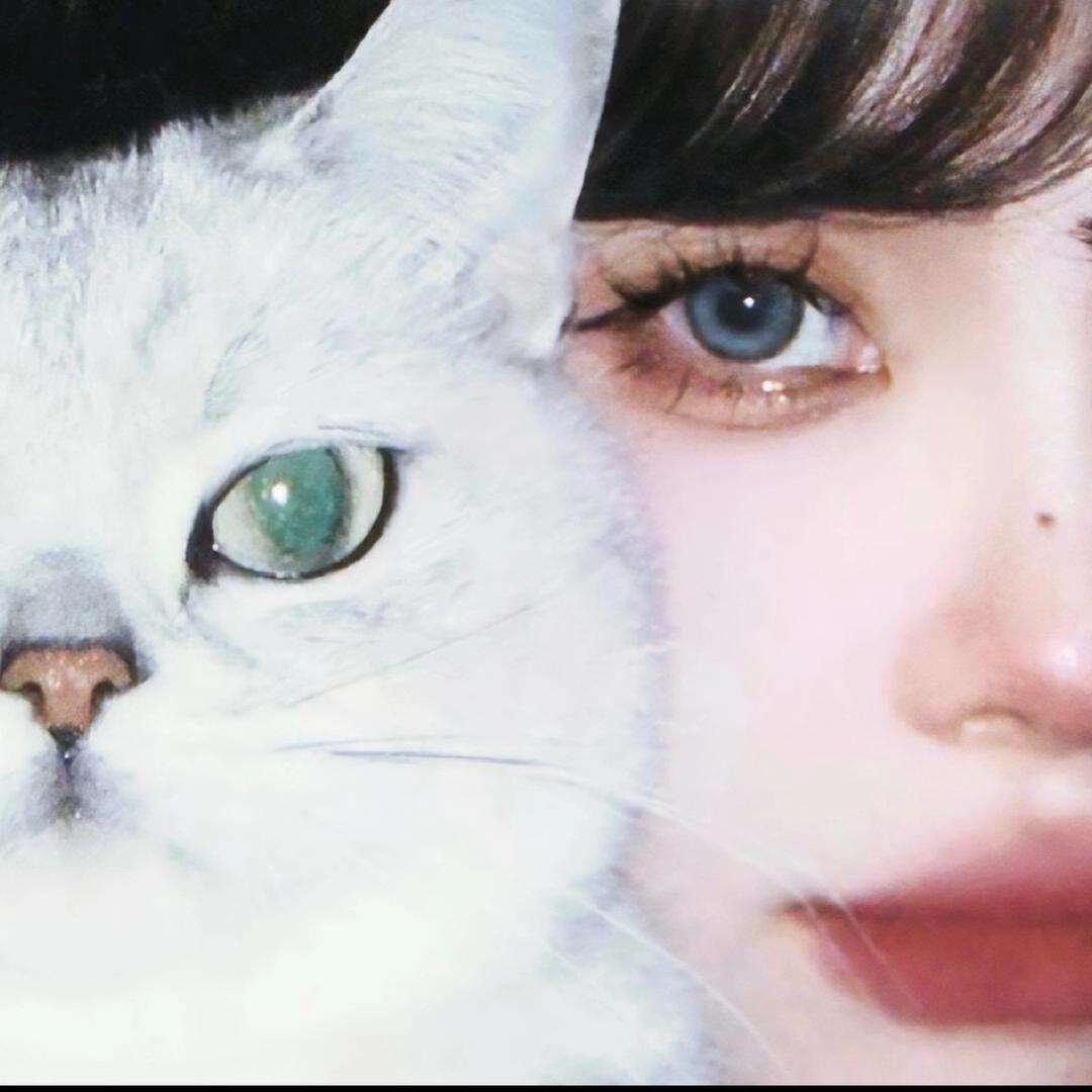啾一口奶甜猫
