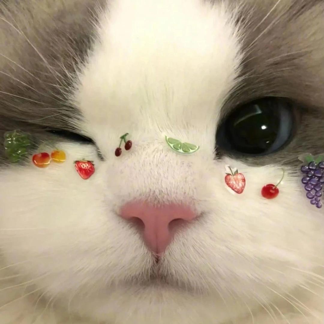 阿Q副传😋