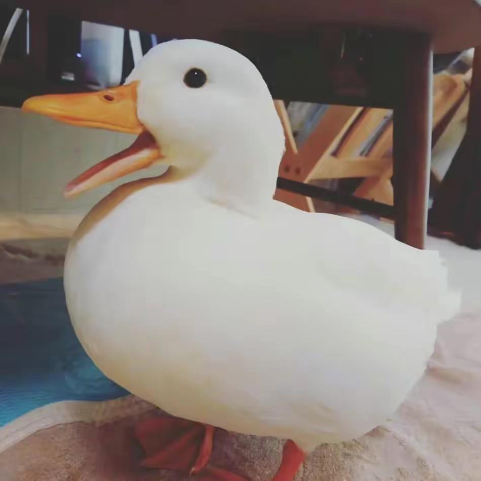 暖暖羽绒工厂店