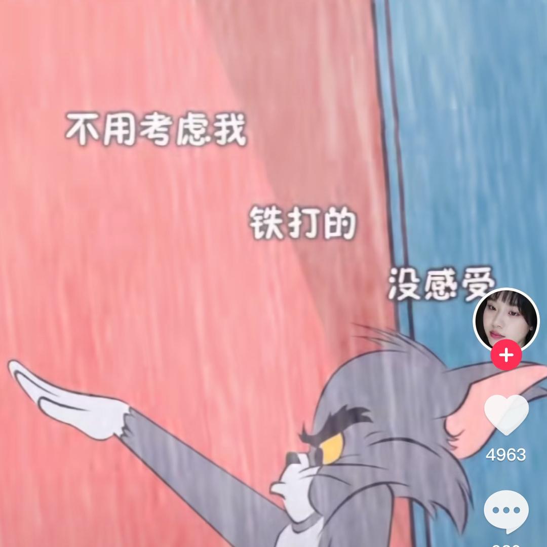 会飞的鱼🐟