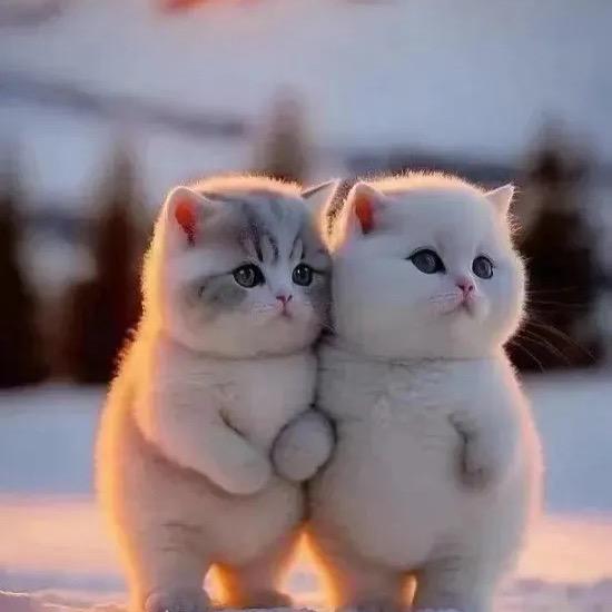 往事ꦿ᭄清零ღ᭄ 爱恨随意