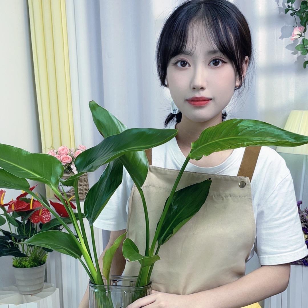 *花艺阿娟