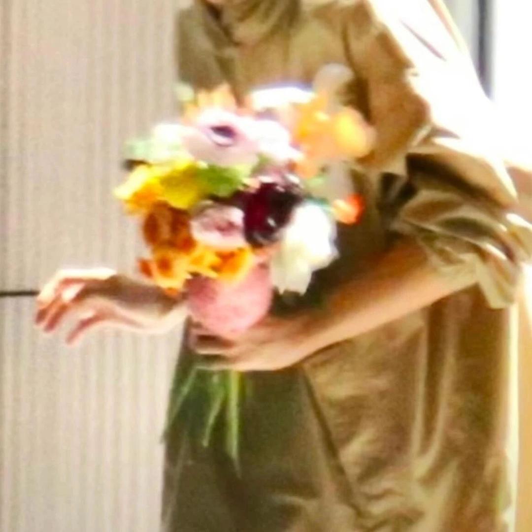 大早扇羊公主