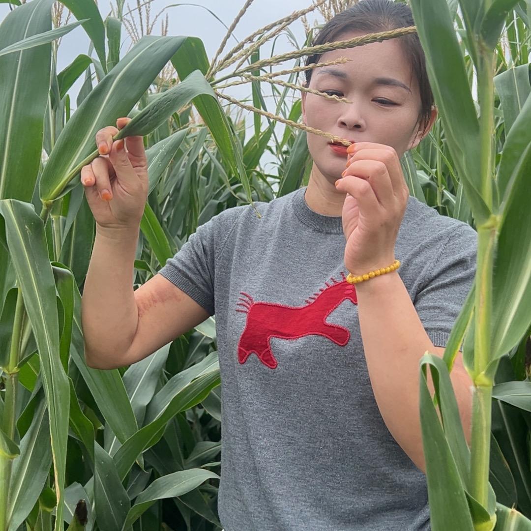 二小姐家掂勺的