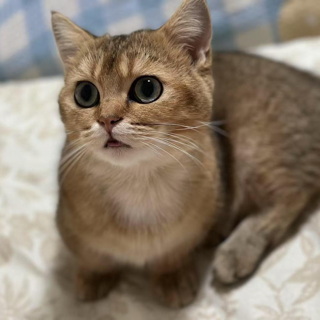 三十
