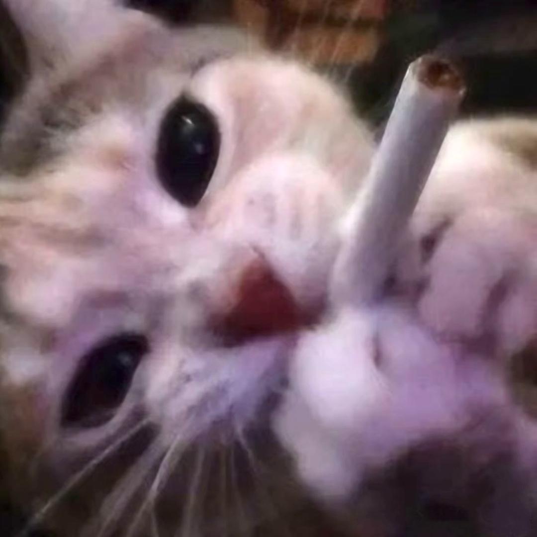 CzYyyy