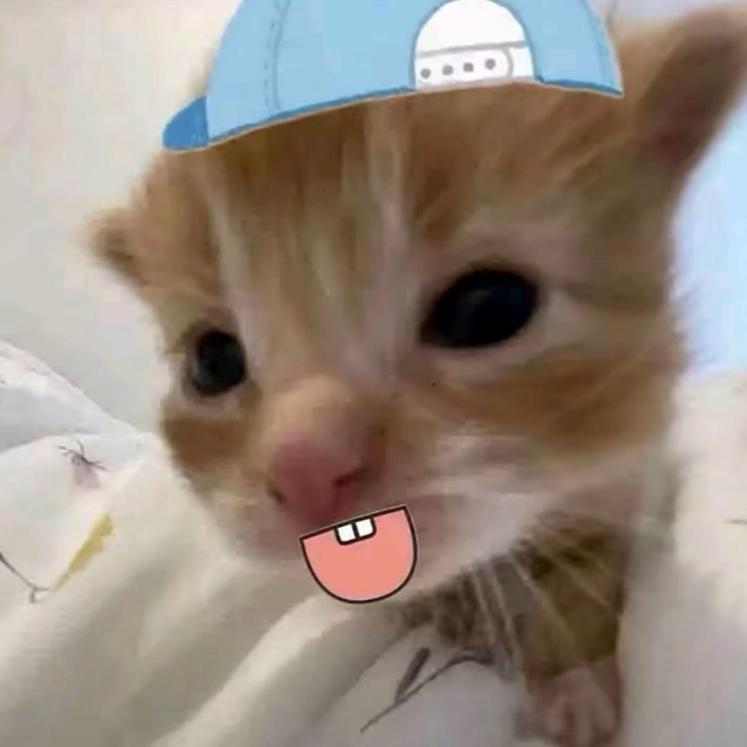 羊yang