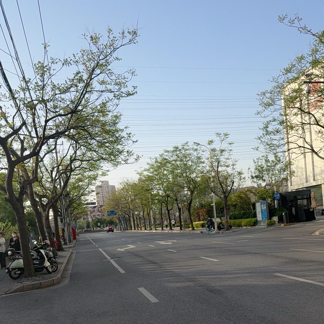 这世界很喧嚣