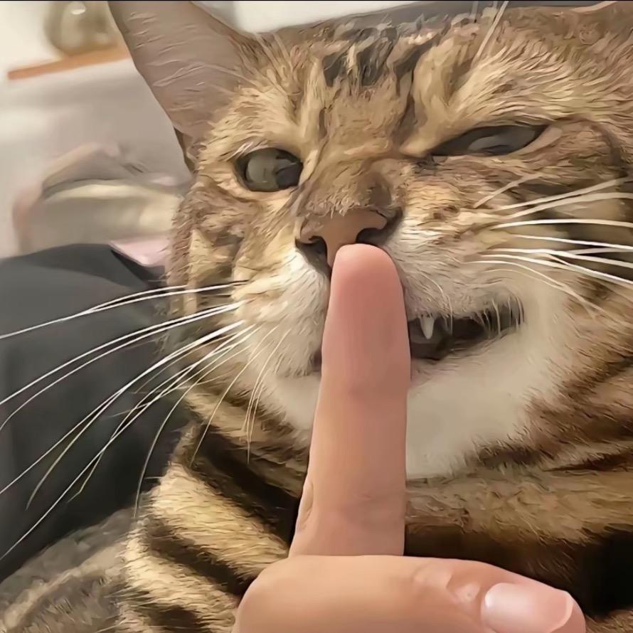 想睡亿会觉