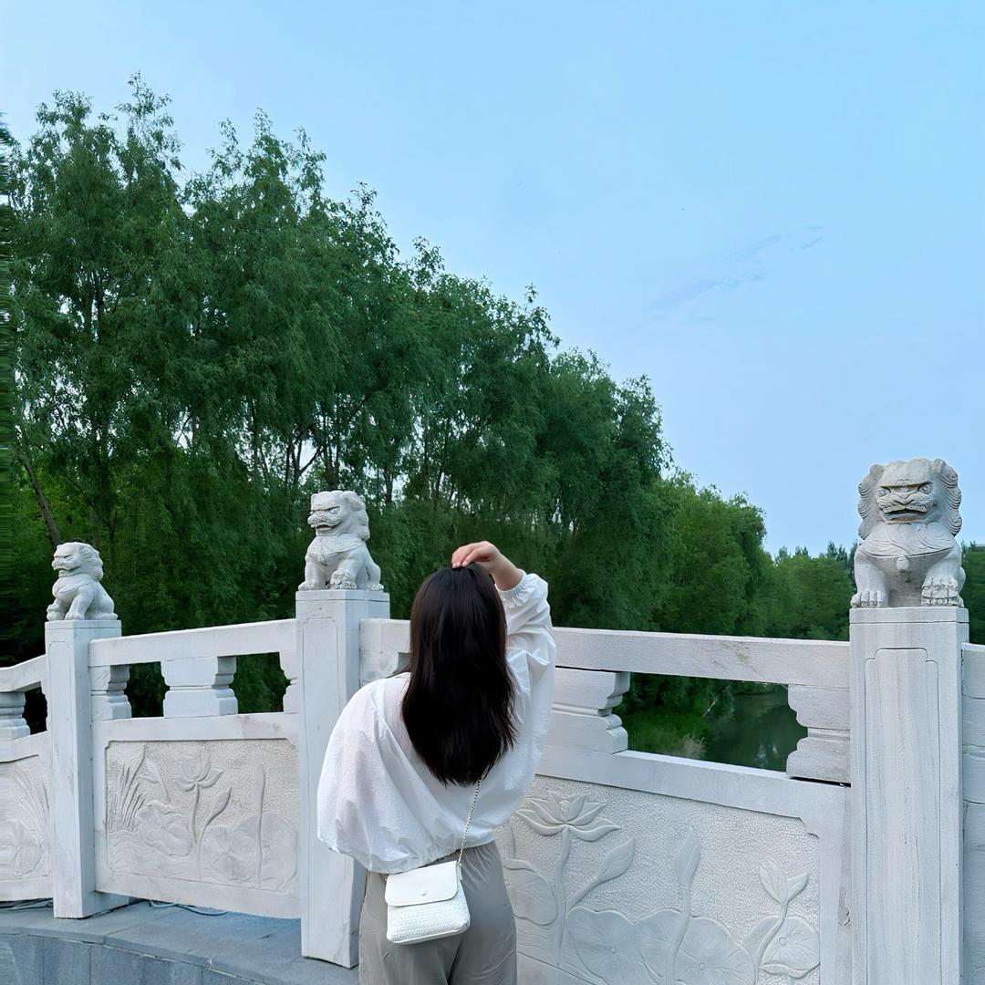 十一·