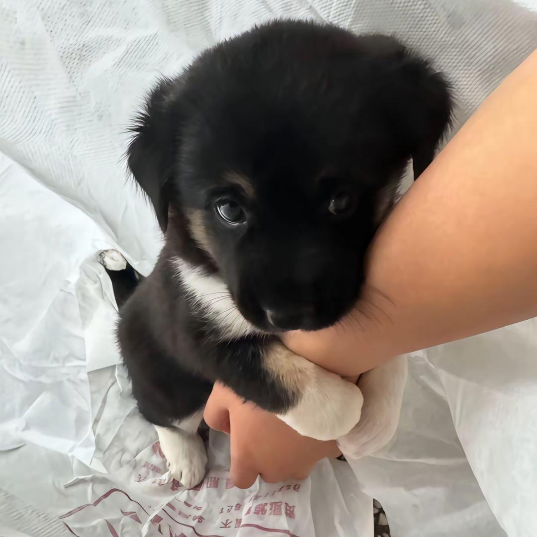 -_^