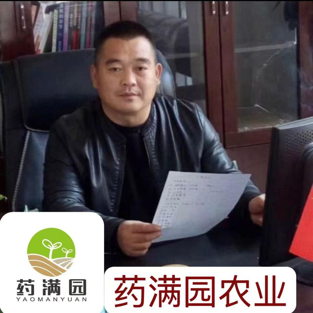 药满园 白芍芽 牡丹苗宋老师