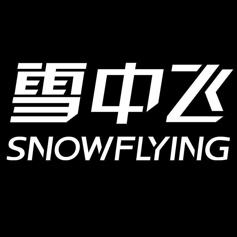 雪中飞春风化羽专卖店