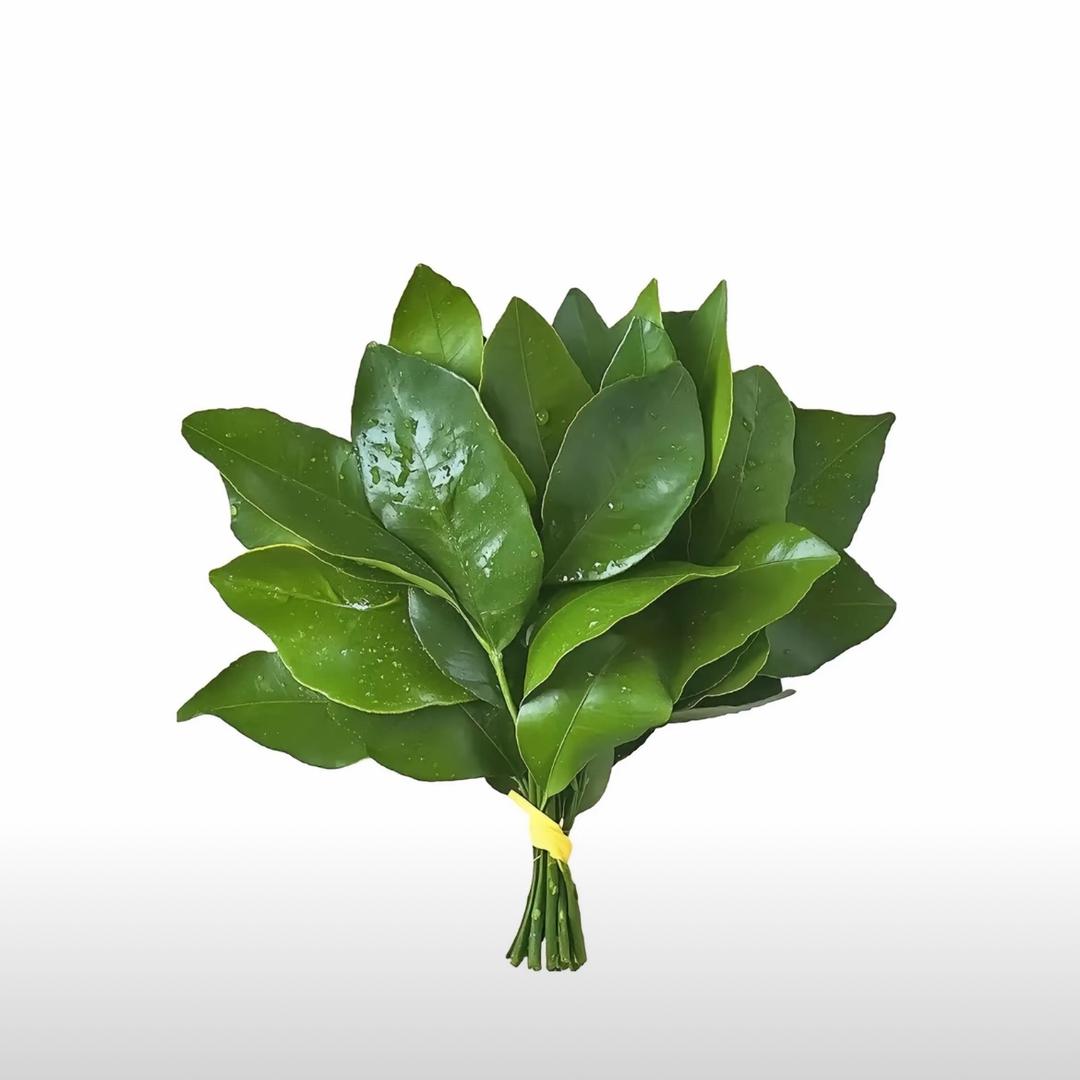 喜欢车子的橙子（池州万程二手车）