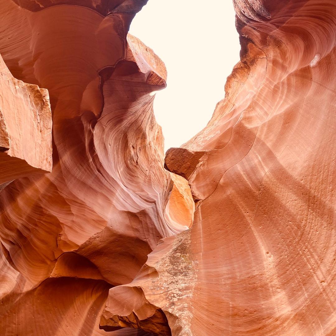 带着礼物去旅行