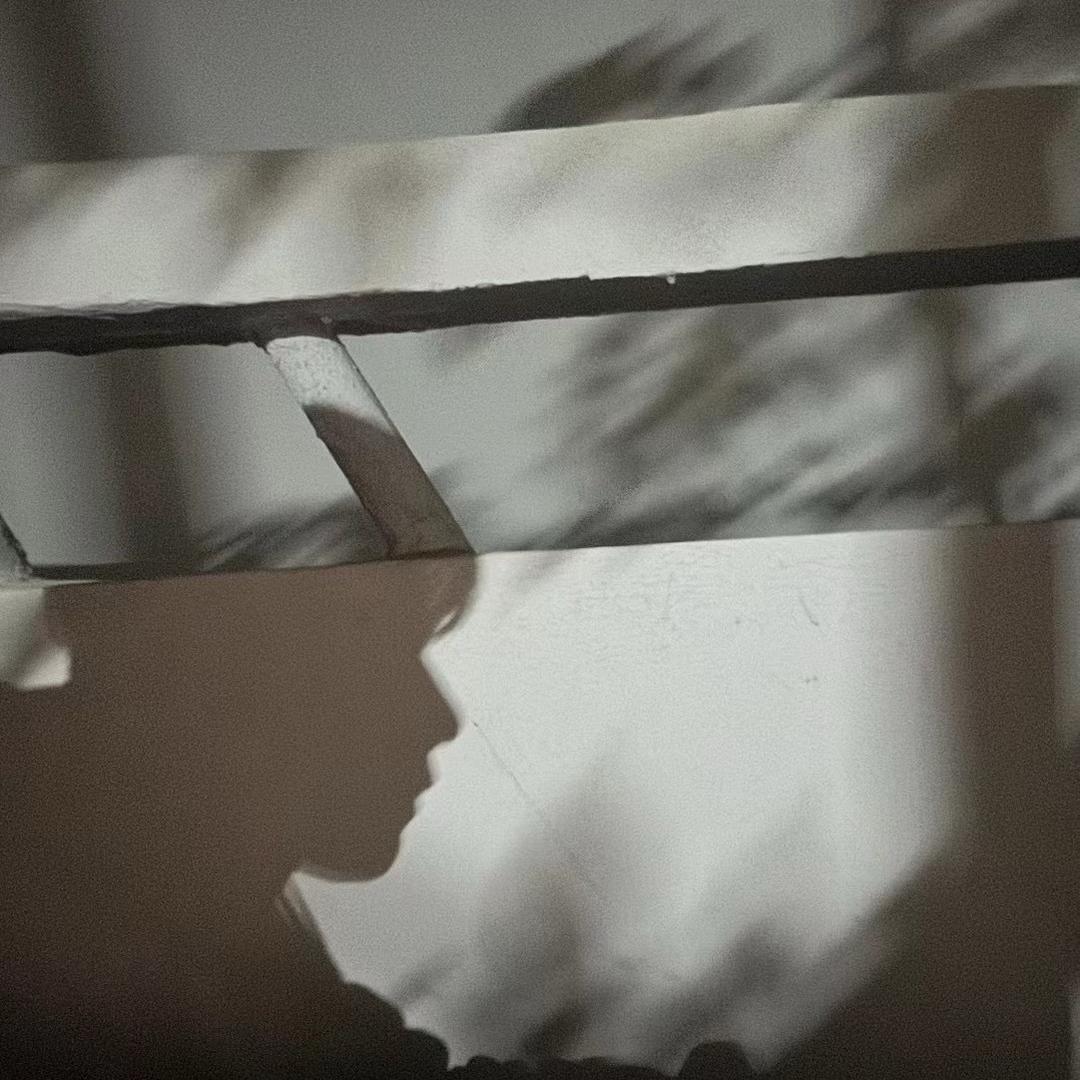 唐校长手机摄影