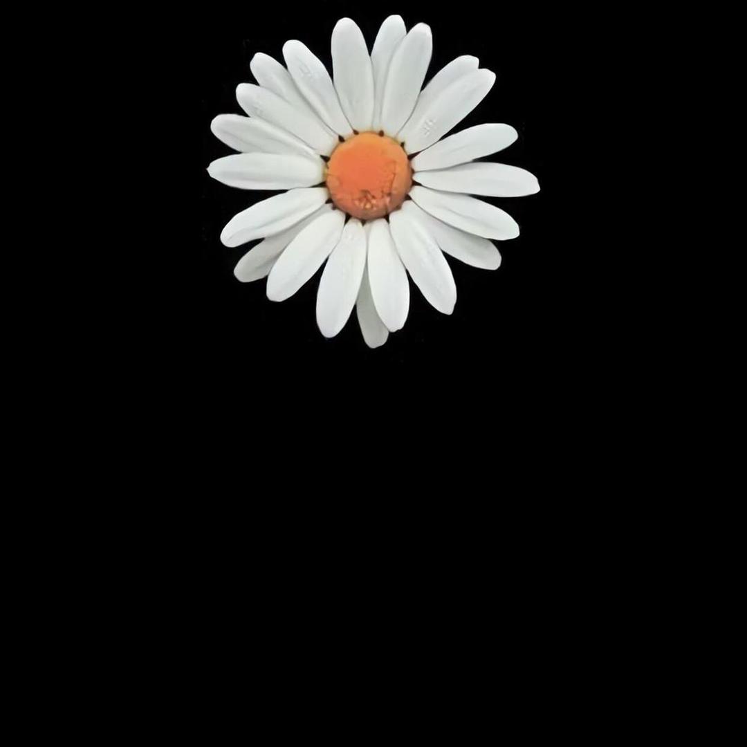 我叫什么你们说吧