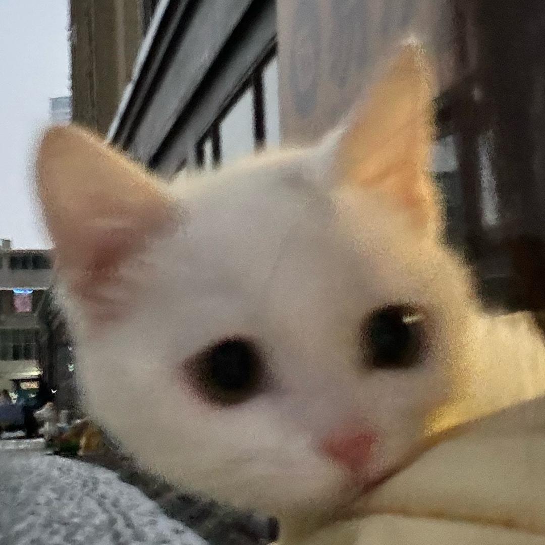 豆苗日记