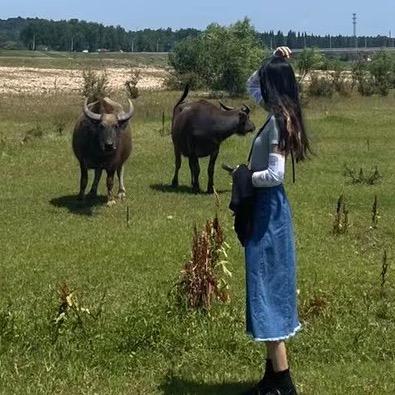 牛牤北