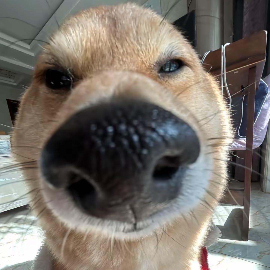 孙家豪
