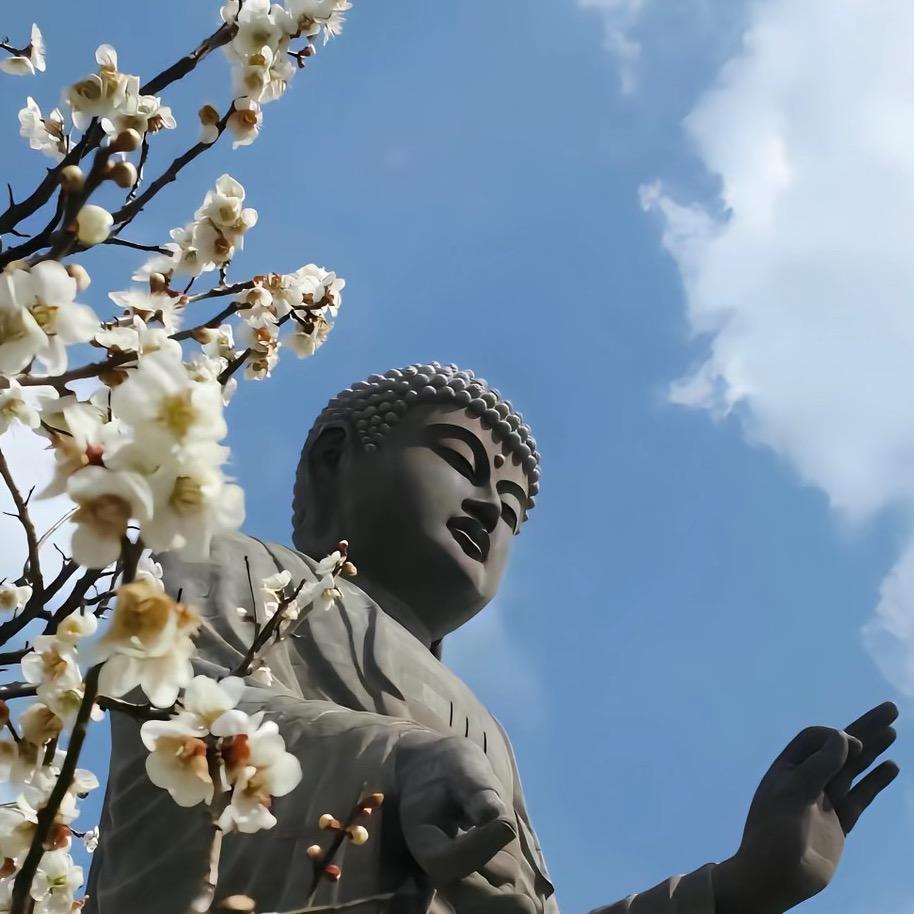 邯郸相机无人机回收-全国上门