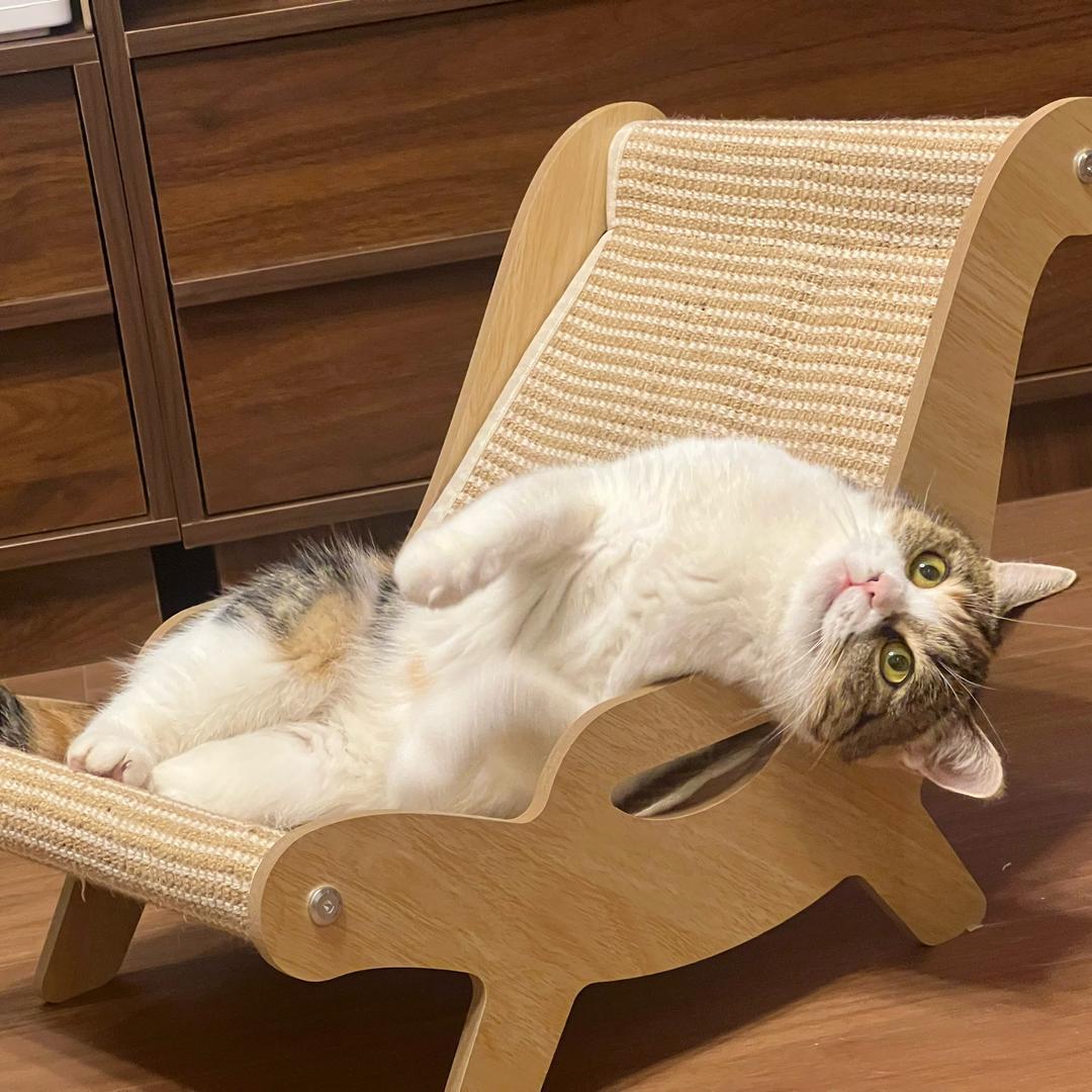 可可豆的中古家🪴（软装中…）