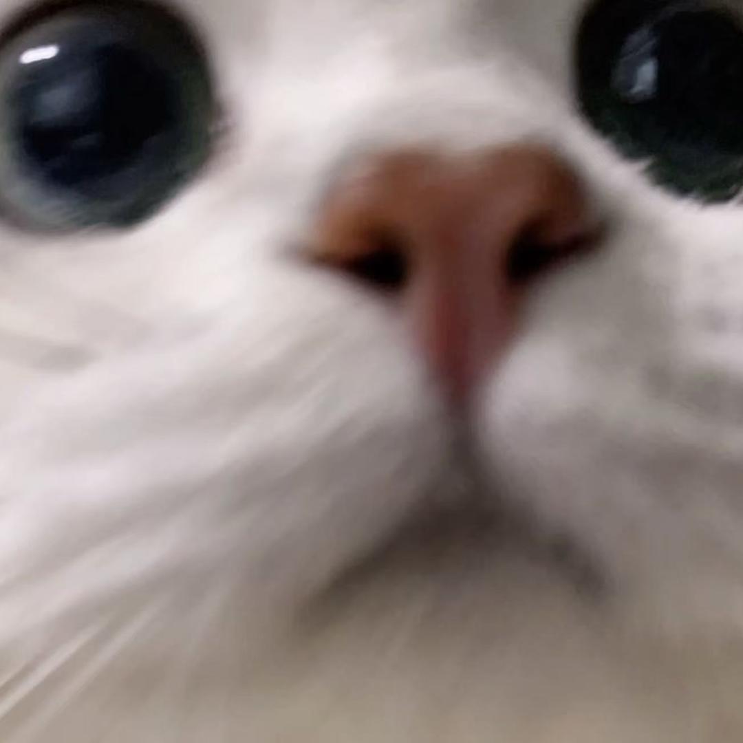 好喜来百货