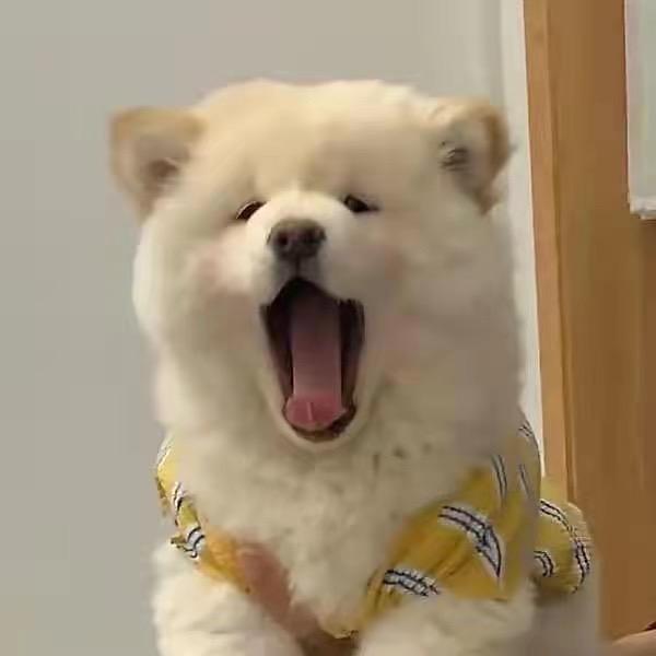 蓝莓夹心