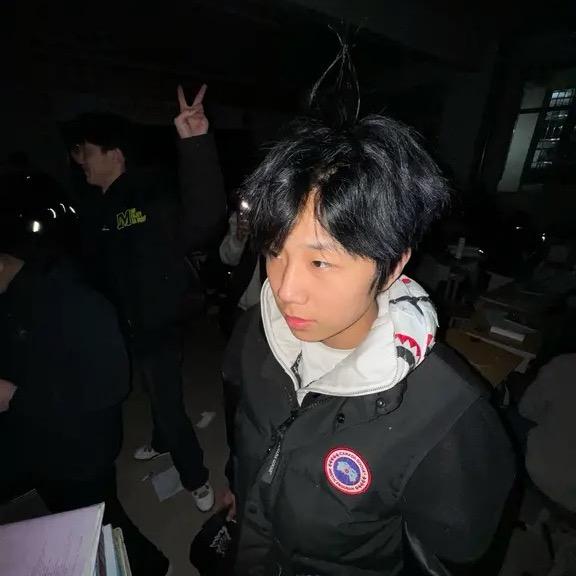 一只洋