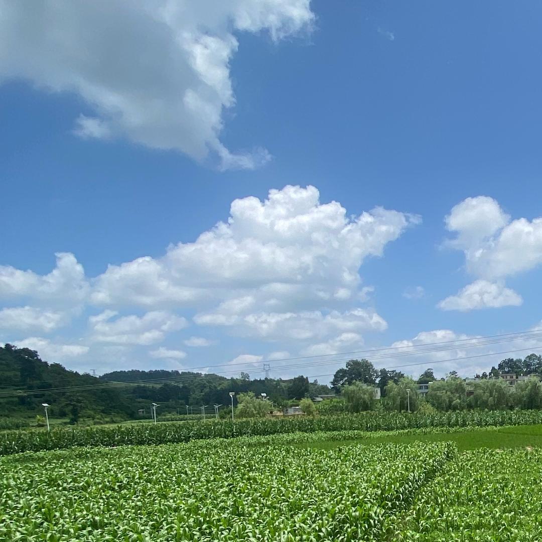 闲时备急