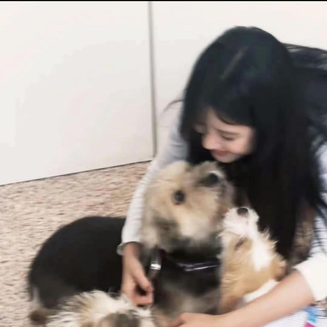 苞米粒儿