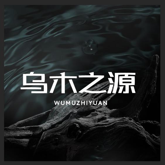 乌木之源WUMUZHIYUAN护发