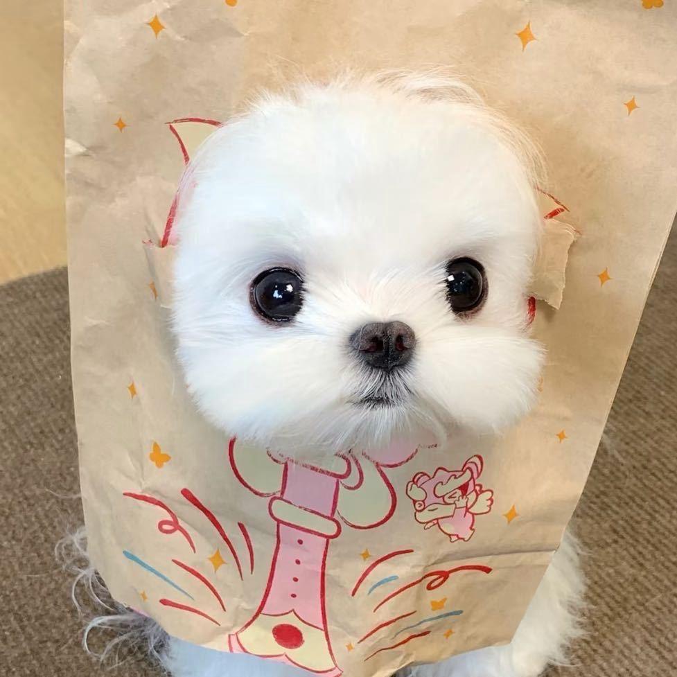 动悦魔方（世纪城店）子子