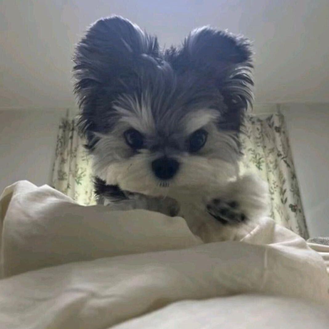 鸭辟谷（增肌版）