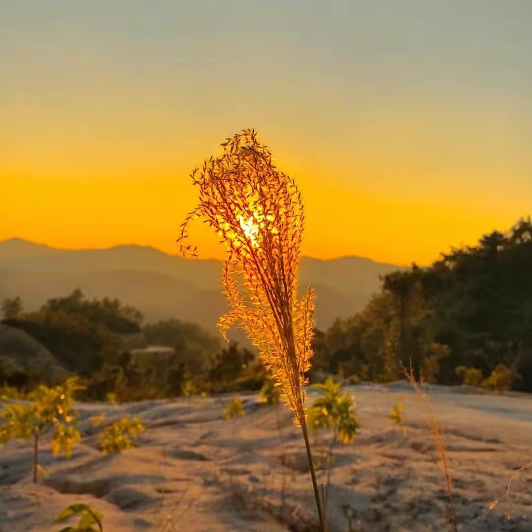 升学指导于老师