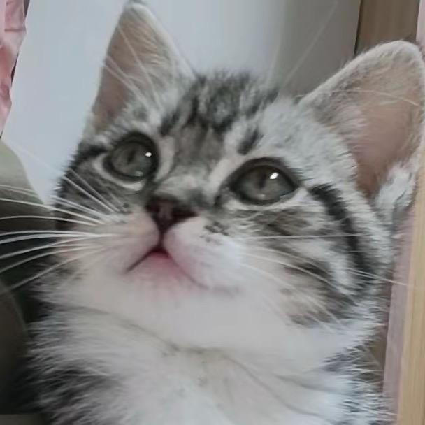 哎，，，，，，