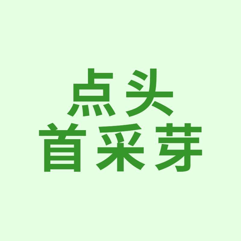 点头首采芽茶业