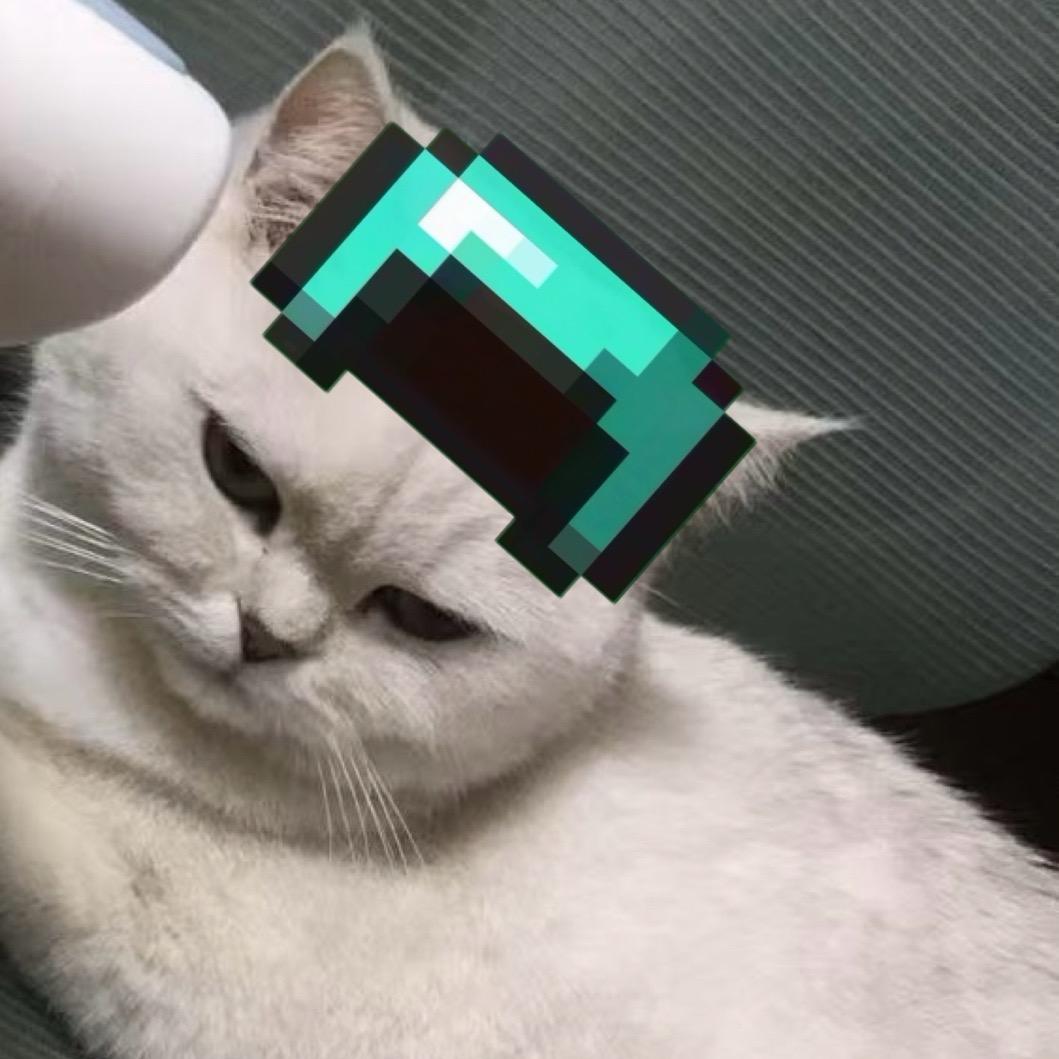 小刘我的世界