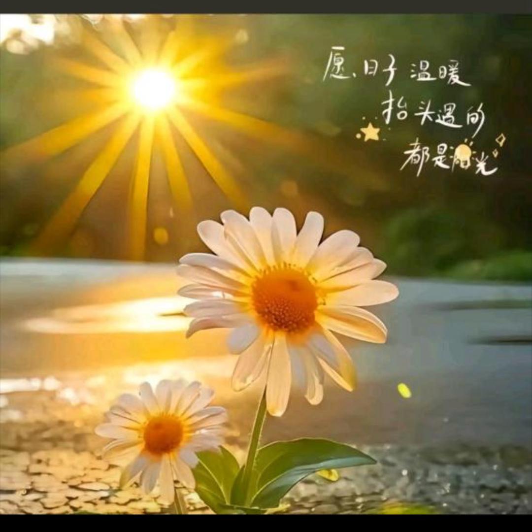 佑佑❤️