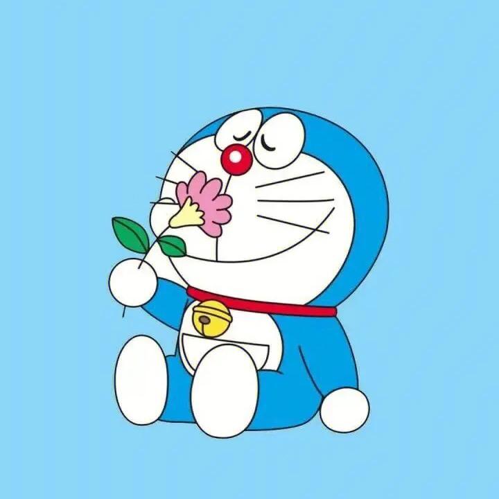 大脸猫dlm
