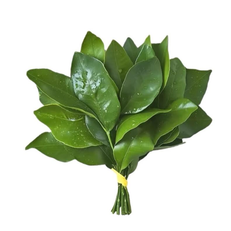 吕豆粥.ᐟ.ᐟᯅ̈