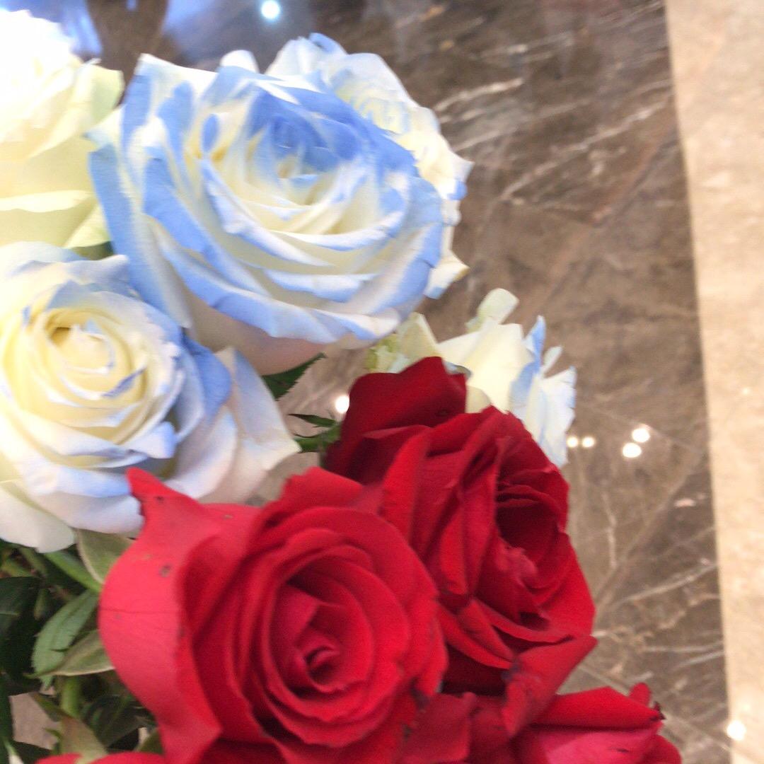❤️❤️初睛