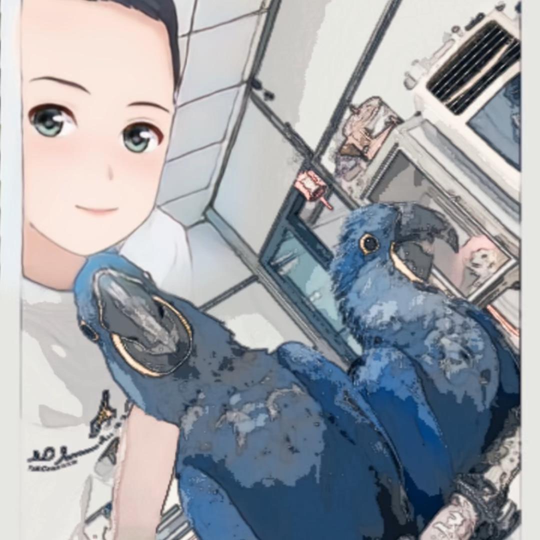 小东｛鹦鹉🦜｝