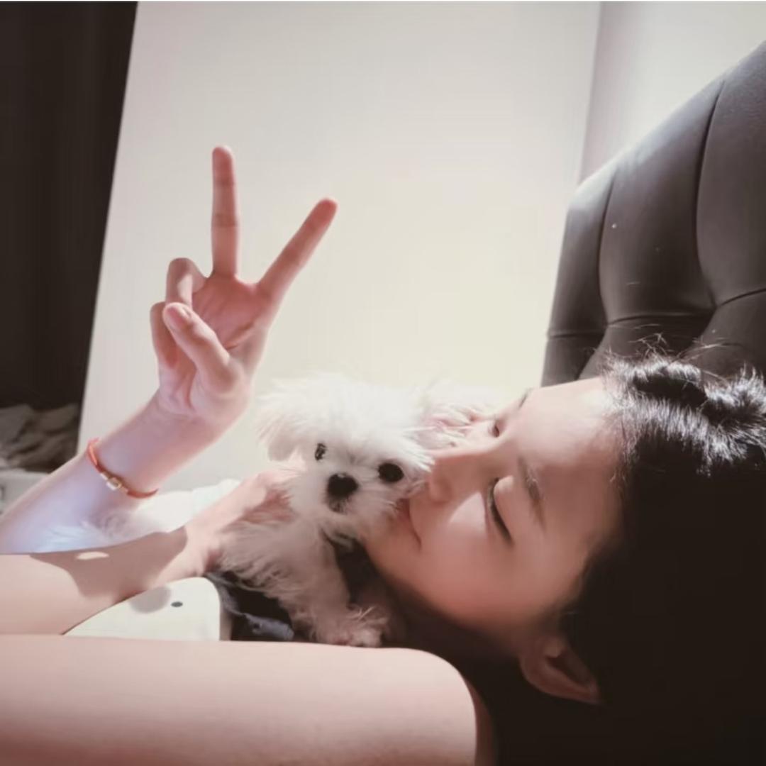 ㅤㅤㅤ 睡1个好觉·