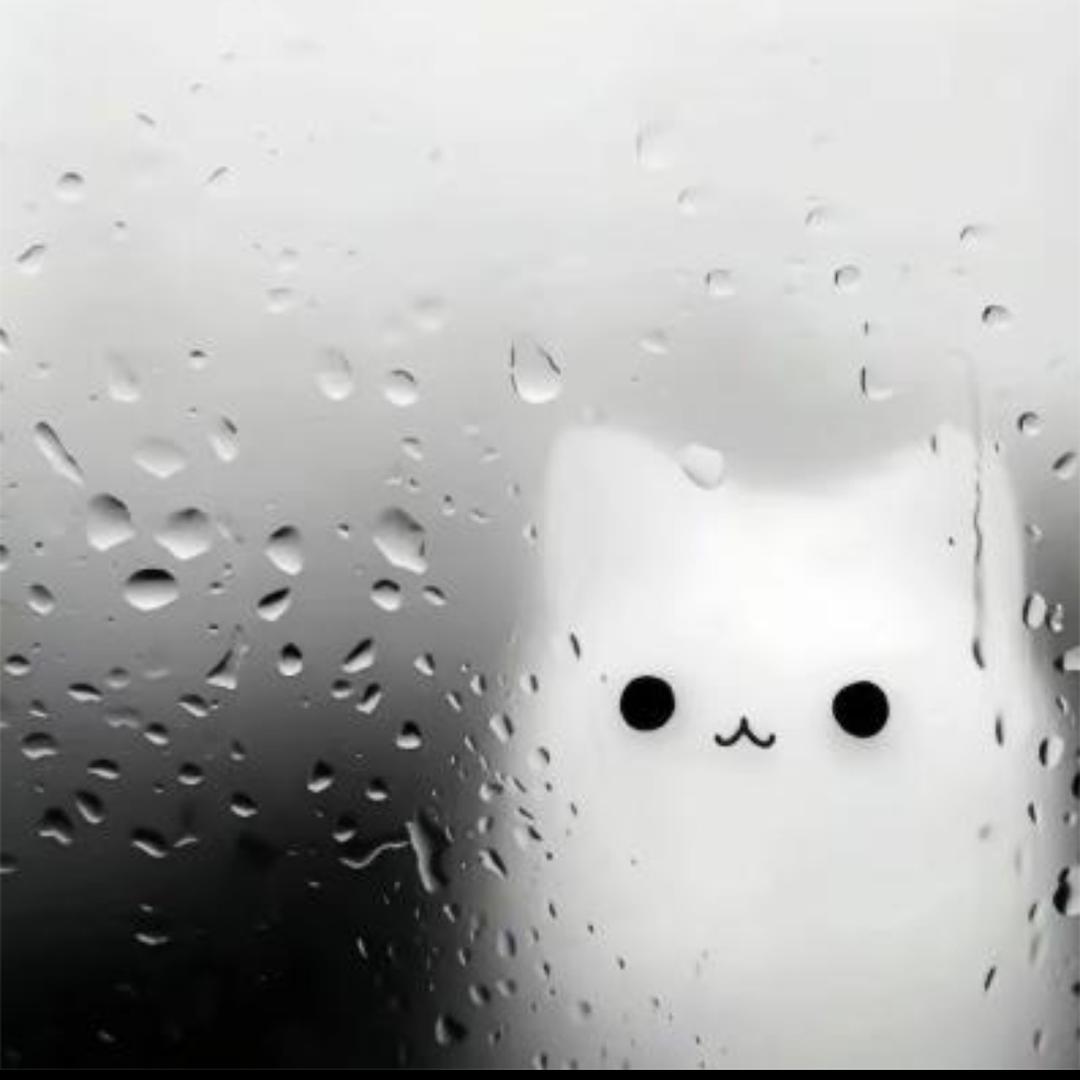 TvT