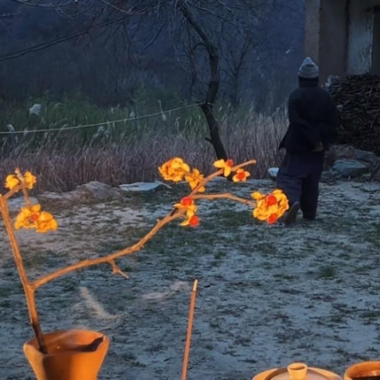 逛逛而已