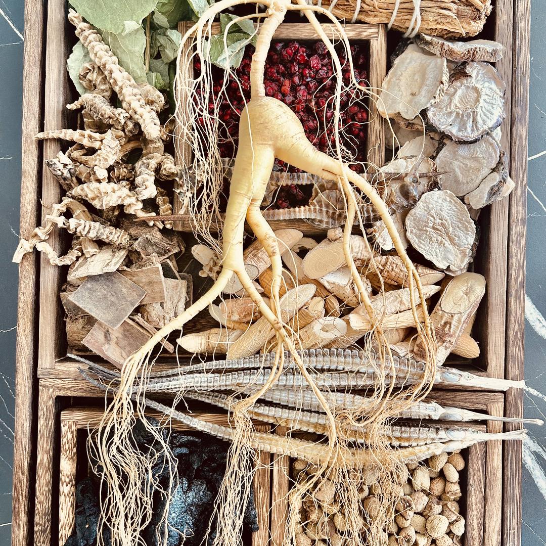 长白本草人参滋补严选店