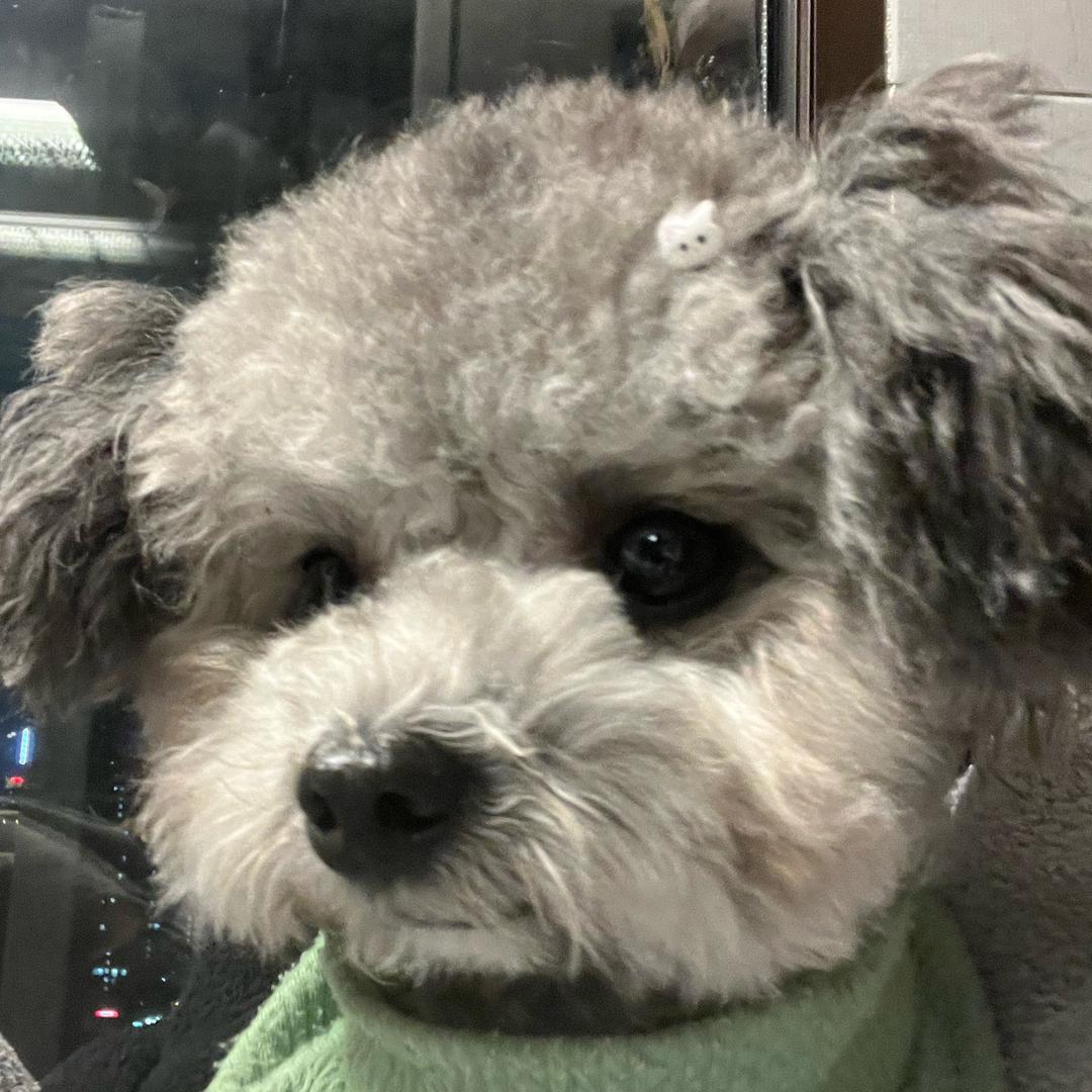 重生之我在大A套主力