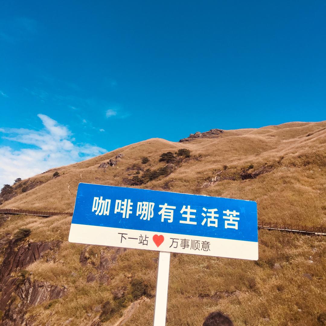 时不知归i